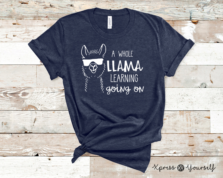 Llama Learning Graphic Tee